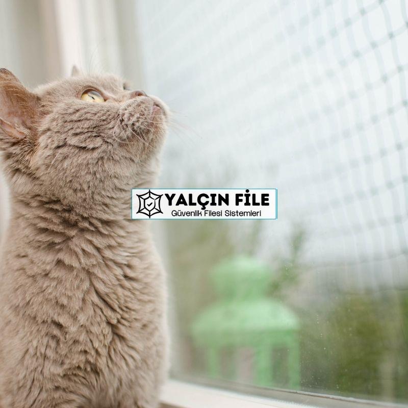 Çayyolu Evcil Hayvan Filesi Çocuk Filesi Kedi Filesi Balkon Filesi 0543 864 9632 Çayyolu Evcil Hayvan Filesi Çocuk Filesi Kedi Filesi Balkon Filesi 0543 864 9632