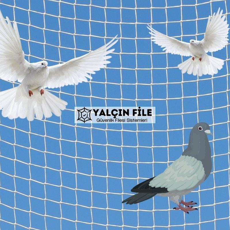 Çayyolu Evcil Hayvan Filesi Çocuk Filesi Kedi Filesi Balkon Filesi 0543 864 9632 Çayyolu Evcil Hayvan Filesi Çocuk Filesi Kedi Filesi Balkon Filesi 0543 864 9632