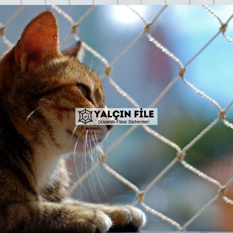 Çayyolu Evcil Hayvan Filesi Çocuk Filesi Kedi Filesi Balkon Filesi 0543 864 9632 Çayyolu Evcil Hayvan Filesi Çocuk Filesi Kedi Filesi Balkon Filesi 0543 864 9632