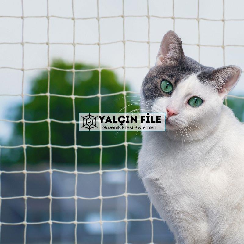 Çayyolu Evcil Hayvan Filesi Çocuk Filesi Kedi Filesi Balkon Filesi 0543 864 9632 Çayyolu Evcil Hayvan Filesi Çocuk Filesi Kedi Filesi Balkon Filesi 0543 864 9632